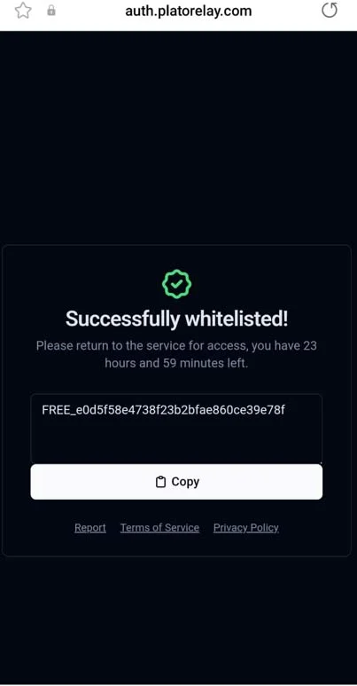 Successfully Whitelisted